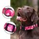 Rhea Rose Dog Collar Special Design Personalized Soft Collars Pink Camo Medium