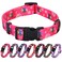 Rhea Rose Pink Dog Collar Summer Daisy and Bees Print for Medium Dogs