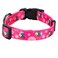 Rhea Rose Pink Dog Collar Summer Daisy and Bees Print for Medium Dogs