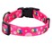 Rhea Rose Pink Dog Collar Summer Daisy and Bees Print for Medium Dogs
