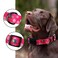 Rhea Rose Pink Dog Collar Summer Daisy and Bees Print for Medium Dogs