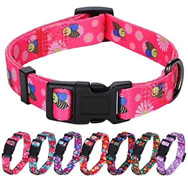 Rhea Rose Pink Dog Collar Summer Daisy and Bees Print for Medium Dogs