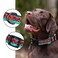 Rhea Rose Tribal Dog Collar Aztec Pattern Adjustable Collars Small Geometric
