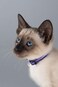 Rogz Catz AlleyCat Extra Small 516 Breakaway Reflective Kitten Collar Purple Reflective