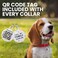 BRONZEDOG Rolled Leather Dog Collar Soft Round Design Prevents Tangling Matting with ID Tag for Small Medium Large Dogs 710 inch Royal Blue