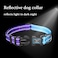 Roses&Poetry RosesPoetry Reflective Dog Collar with Gradient Violet Adjustable Durable Pet Collars for Small Medium Large Dogs VioletM