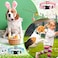 Sadnyy 6 Pcs Holiday Easter Day Dog Collars with Safety Plastic Buckle Adjustable Cute Pet Collar for Female and Male Large Small Medium Dogs for Valentine St Patricks DayM Size