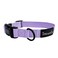 SHAWNCO ShawnCo Dream Walk Dog Collar Premium Adjustable and Comfortable Pet Collar for Small Medium Large and Extra Large Dogs M ICY Lilac
