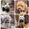 Heypet Small Dog Cat Collar Bow Tie Adjustable Puppy or Kitten Medium Neck Bowtie for Wedding Birthday DBTT1 Black White Formal Tuxedo