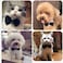 Heypet Small Dog Cat Collar Bow Tie Adjustable Puppy or Kitten Medium Neck Bowtie for Wedding Birthday DBTT1 Black White Formal Tuxedo