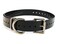 Sparky Pet Co 1 Square Buckle High Flex Replacement Collar Black