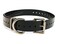 Sparky Pet Co 1 Square Buckle High Flex Replacement Collar Black