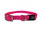 Sparky Pet Co ECollar Replacement Strap Double Buckle Dog Collar Rugged Nylon Adjustable D Ring Quick Release Metal Clasp for Invisible Fence Systems 34 x 21 Neon Pink