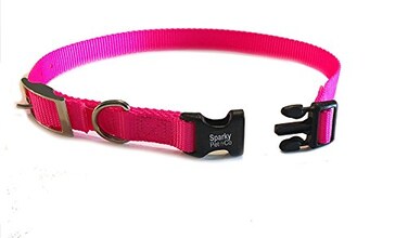 Sparky Pet Co ECollar Replacement Strap Easy Release Double Buckle Dog Collar Rugged Nylon Adjustable D Ring Quick Release Metal Clasp for Invisible Fence Systems 34 x 24 Raspberry