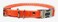 Sparky Pet Co Apollo ECollar Replacement Strap 34 x 26 Waterproof Biothane with Double Buckle Quick Snap Clasp Fits Garmin Dogtra SportDOG Educator Neon Orange