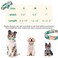 Thankspaw Adjustable Bow Tie Dog Collar Printed Cute Patterns Spring Summer Soft Pet Collars for Small Medium Large Dogs