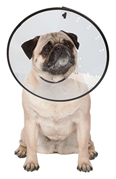 Total Pet Health Elizabethan Collars Durable Plastic Collars that Keep Pets from Licking Wounded Areas XSmall Clear