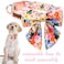 Unique style paws Cartoon Dog Collar with Bowtie Spring Summer Puppy Collar with Flower for Small Medium Large Boys Girls Dogs