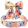Unique style paws Cartoon Dog Collar with Bowtie Spring Summer Puppy Collar with Flower for Small Medium Large Boys Girls Dogs