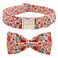 Unique style Unique Style Paws Dog Collar with Bow Bowtie Dog Collar Adjustable Collars for Small Medium Large Dogs and Cats