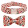 Unique style Unique Style Paws Dog Collar with Bow Bowtie Dog Collar Adjustable Collars for Small Medium Large Dogs and Cats