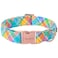 Unique style paws Easter Dog Collar Plastic Buckle Puppy Collar Colorful Plaid Puppy Collars for Small Medium Large Boys Girls Dogs