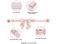 Unique style paws Silk Pink Color Dog Collar Adjustable Durable Dog Collar with Bow Wedding Bowtie Collar for Medium Dogs