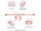 Unique style paws Silk Pink Color Dog Collar Adjustable Durable Dog Collar with Bow Wedding Bowtie Collar for Medium Dogs