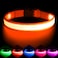 VIZPET Vizpet LED Dog Collar Light Up Dog Collar Adjustable USB Rechargeable Super Bright Safety Light Glowing Collars for DogsMediumOrange