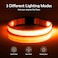 VIZPET Vizpet LED Dog Collar Light Up Dog Collar Adjustable USB Rechargeable Super Bright Safety Light Glowing Collars for DogsMediumOrange