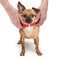 Weebo Pets Adjustable Nylon Dog Collar with HiVisibility Reflective Thread Pink Small