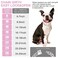WimuPath SilverPlated Pink Diamond Dog Collar Cuban Style Metal Chain with Secure Buckle Luxury Durable Collar for SmallMediumLarge Dogs Puppies