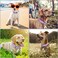 Wisedog Waterproof Dog Collar with Airtag Holder Adjustable Soft Rubber Coated Webbing OdorProof and Easy to Clean for Small Medium Large DogsS85125 45 in Lilac