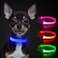 YFbrite LED Dog Collar XS Lightweight Cat Collar Light Comfortable Light Up Puppy Collars USB Rechargeable Adjustable Puppy Walking Safety Light Blue XS