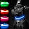YFbrite Light up Dog Collar USB Rechargeable LED Puppy Collar Super Bright Adjustable Glowing Dog Lights for Night Walking Blue Large