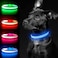YFbrite Light up Dog Collar USB Rechargeable LED Puppy Collar Super Bright Adjustable Glowing Dog Lights for Night Walking Blue Large