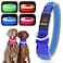 YFbrite Light up Dog Collar USB Rechargeable LED Puppy Collar Super Bright Adjustable Glowing Dog Lights for Night Walking Blue Large