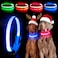 YFbrite Light up Dog Collar USB Rechargeable LED Puppy Collar Super Bright Adjustable Glowing Dog Lights for Night Walking Blue Medium