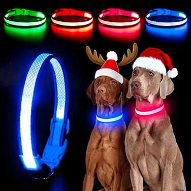 YFbrite Light up Dog Collar USB Rechargeable LED Puppy Collar Super Bright Adjustable Glowing Dog Lights for Night Walking Blue Medium