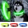 YFbrite Ultra Light Adjustable LED Dog Collar Light up Dog Collars Rechargeable Glowing in The Dark Collars Visiblity Safety for Small Medium Large Dogs Green Small