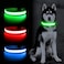 YFbrite Ultra Light Adjustable LED Dog Collar Light up Dog Collars Rechargeable Glowing in The Dark Collars Visiblity Safety for Small Medium Large Dogs Green Small