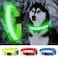 YFbrite Ultra Light Adjustable LED Dog Collar Light up Dog Collars Rechargeable Glowing in The Dark Collars Visiblity Safety for Small Medium Large Dogs Green Small