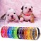 YOY 12 pcsSet Soft Nylon Puppy Whelping ID Collars Adjustable Reusable Washable Baby Dog ID Bands Pet Identification for Breeders Neck 8 13