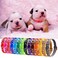 YOY 12 pcsSet Soft Nylon Puppy Whelping ID Collars Adjustable Reusable Washable Baby Dog ID Bands Pet Identification for Breeders Neck 8 13