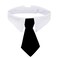 ZTON Bowtie for Little Puppy Handcrafted Adjustable Formal Collar Neck Tie for Dogs Cats L Black