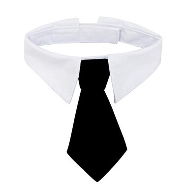 ZTON Bowtie for Little Puppy Handcrafted Adjustable Formal Collar Neck Tie for Dogs Cats L Black