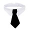 ZTON Bowtie for Little Puppy Handcrafted Adjustable Formal Collar Neck Tie for Dogs Cats S Black