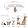 ZTON Bowtie for Little Puppy Handcrafted Adjustable Formal Collar Neck Tie for Dogs Cats S Coffee Star