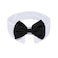 ZTON Handcrafted Adjustable Formal Pet Bowtie Collar Neck Tie for Dogs Cats L Black