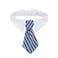 ZTON Pet Bowtie Handcrafted Adjustable Formal Collar Neck Tie for Dogs Cats L Blue Stripe